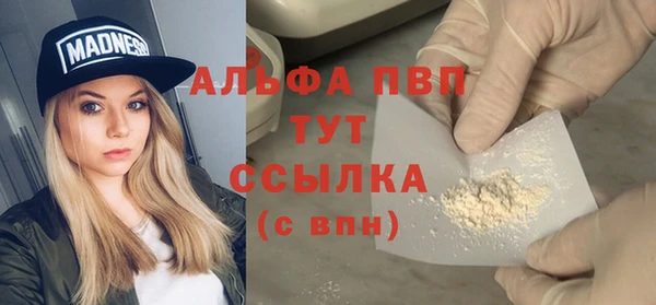 мдпв Краснослободск