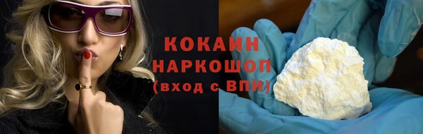 мдпв Краснослободск