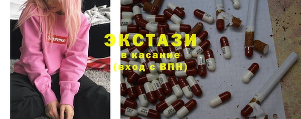 мдпв Краснослободск