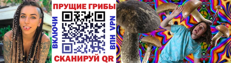 Купить где  Байкальск  Галлюциногенные грибы Magic Shrooms 